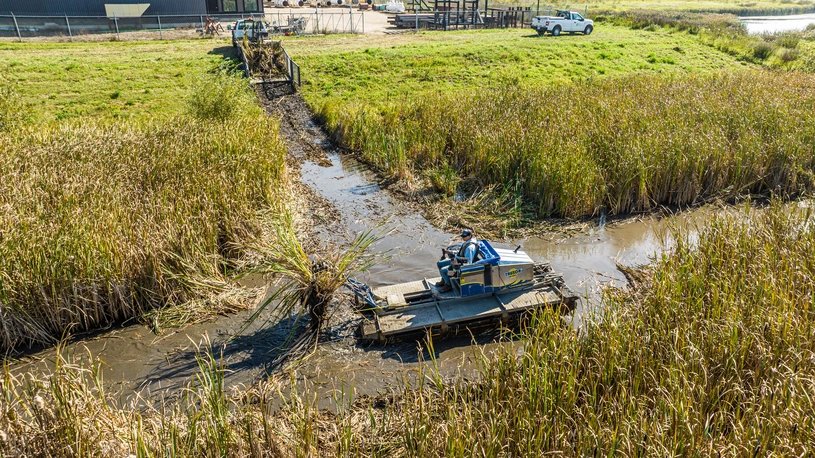 Truxor machine harvesting cattails in the water